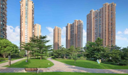 91户外直播网红火火,户外直播界的璀璨明星