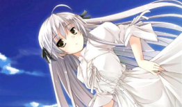 缘分的天空动漫,缘分的天空动漫之旅